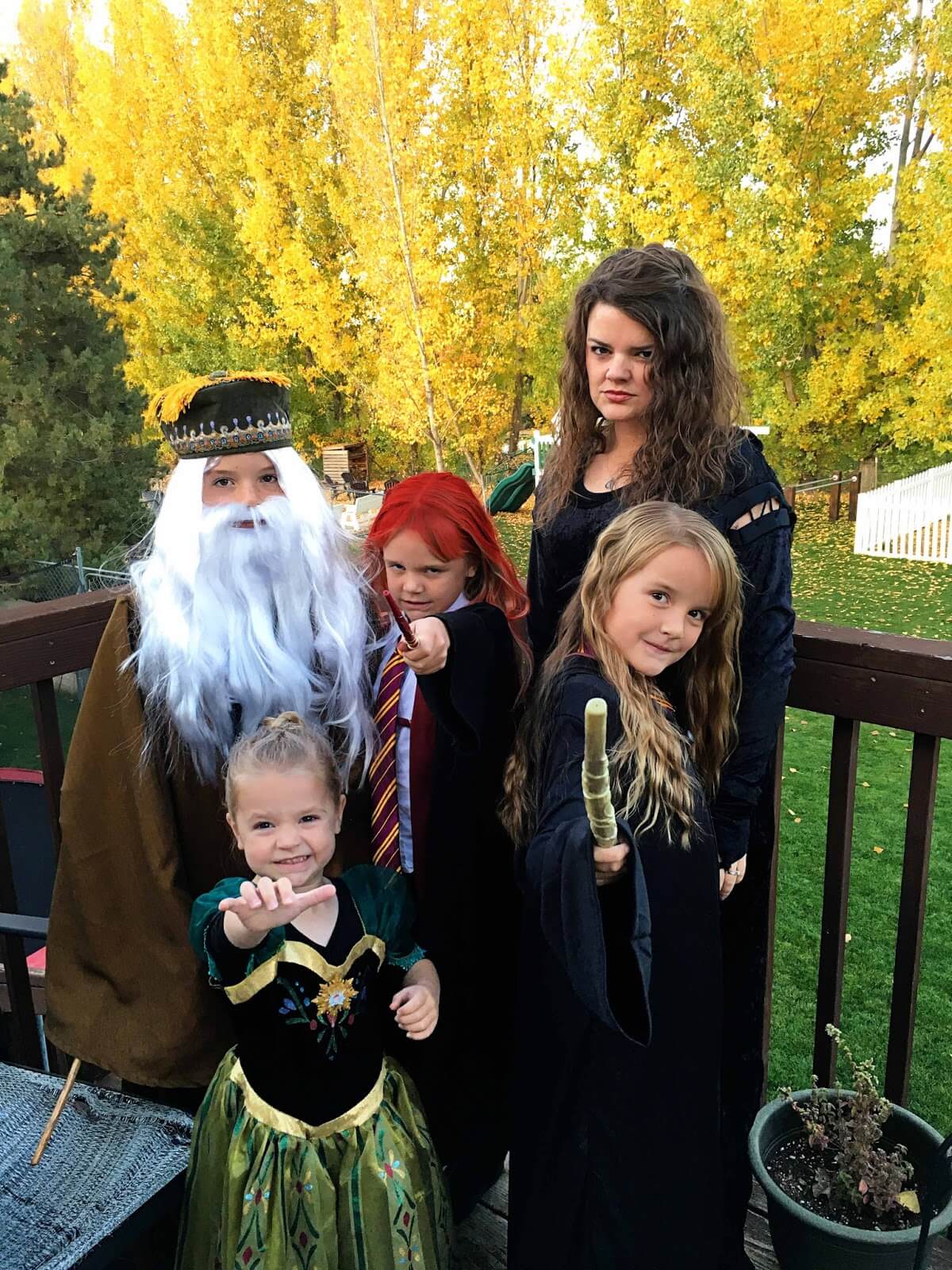 Harry Potter family theme