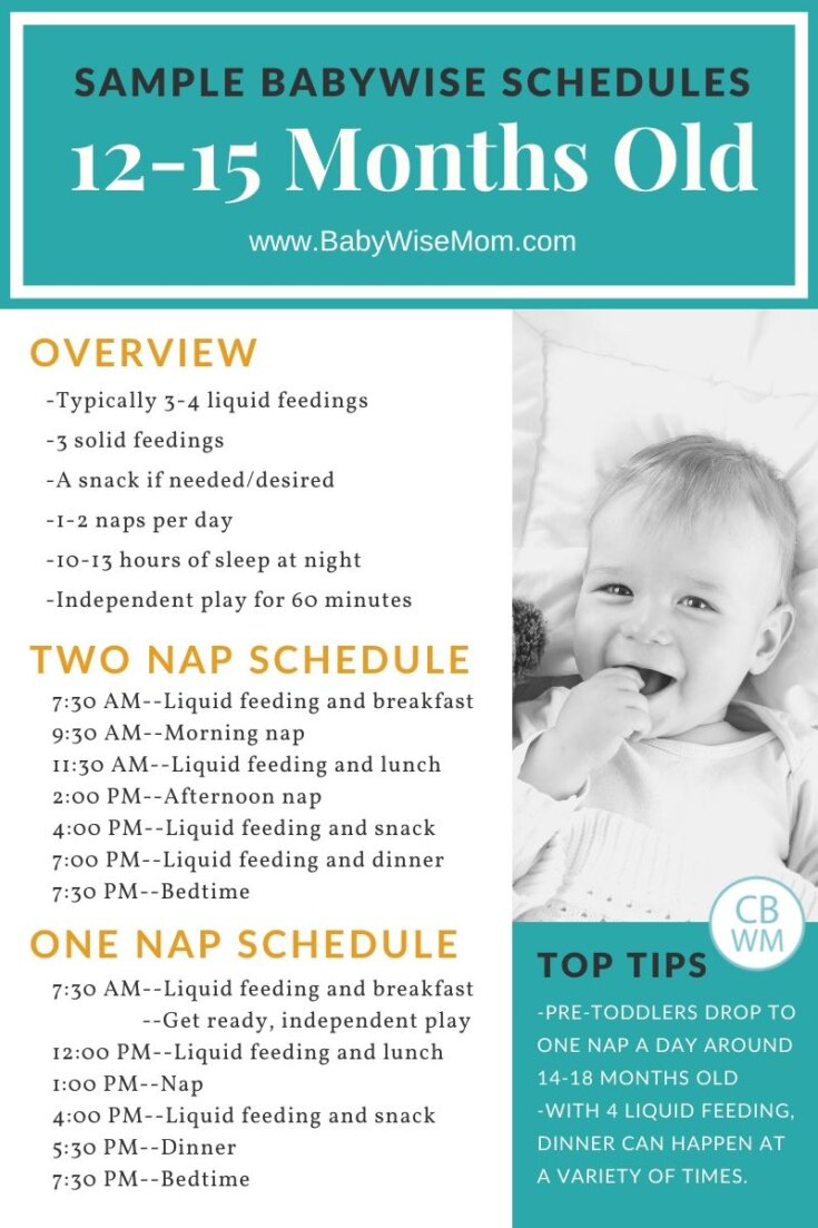 Babywise Sample Schedules 12 15 Months Old Babywise Mom