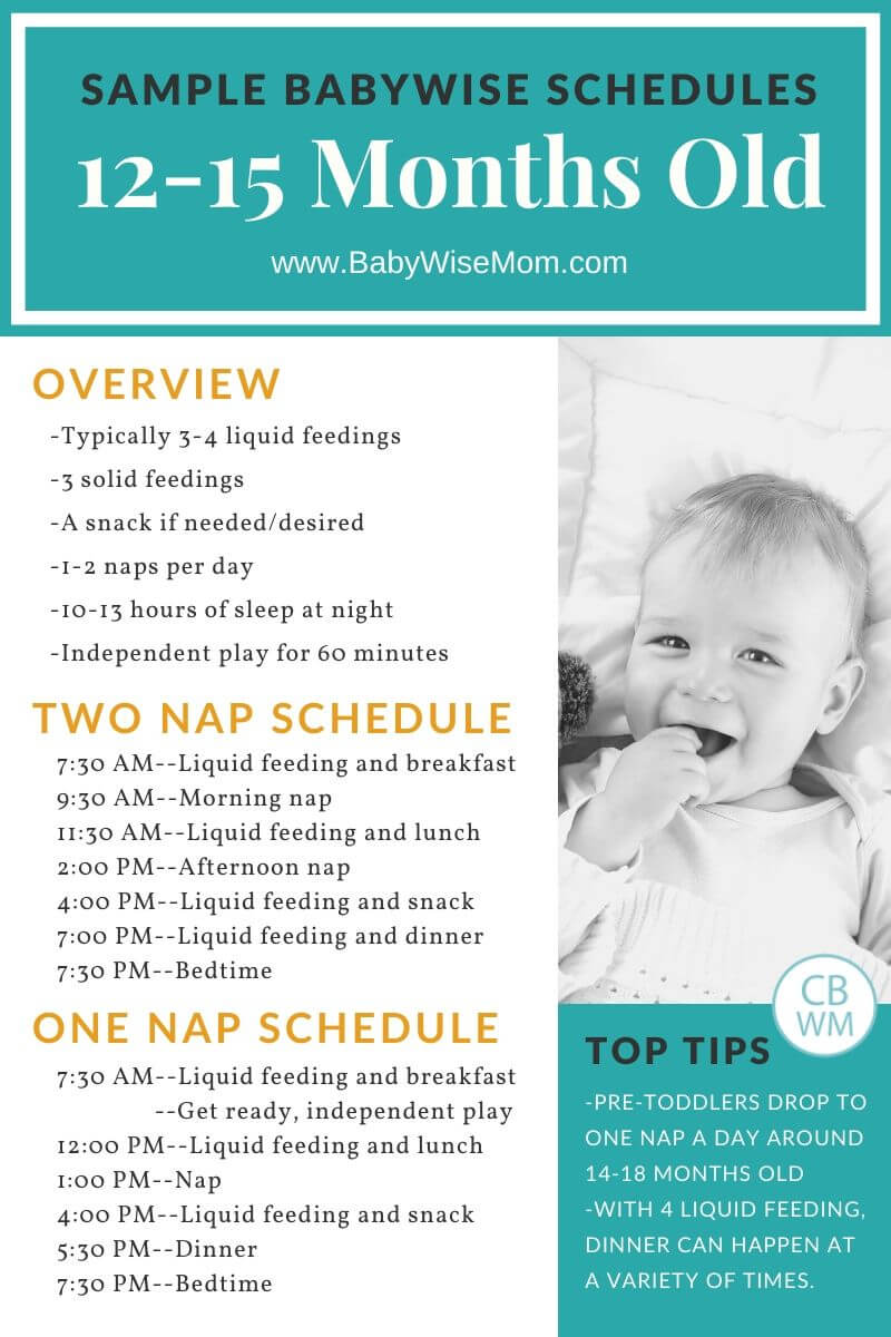 Download Babywise Sample Schedules: 12-15 Months Old - Babywise Mom