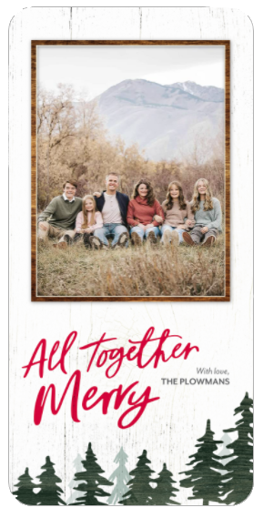 all together merry Christmas card