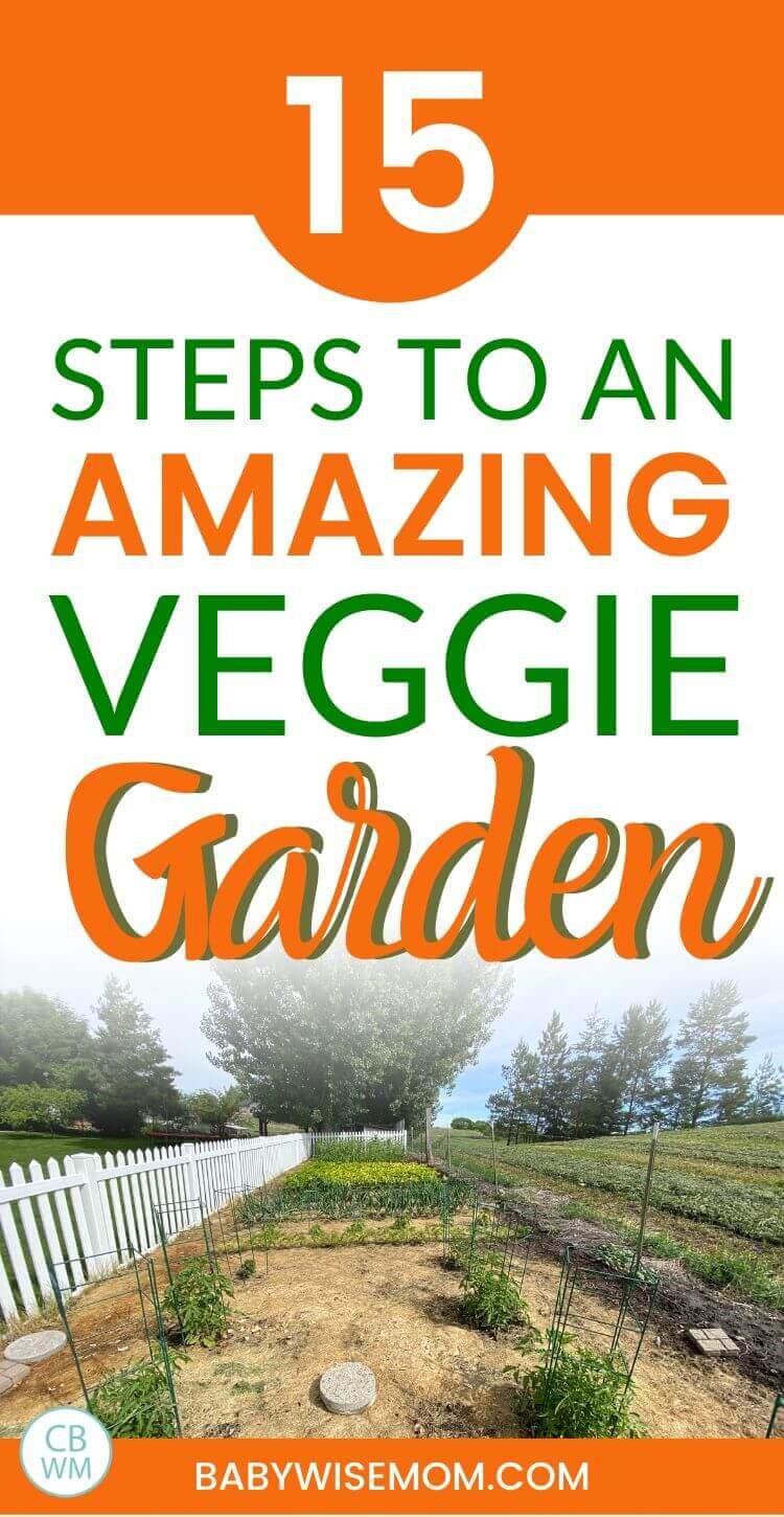 15 steps to an amazing veggie garden pinnable image