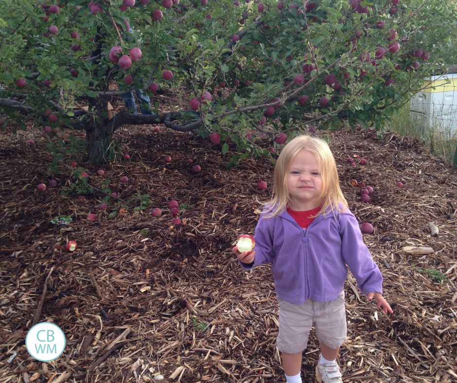 Brinley eating an apple in an apple orchard