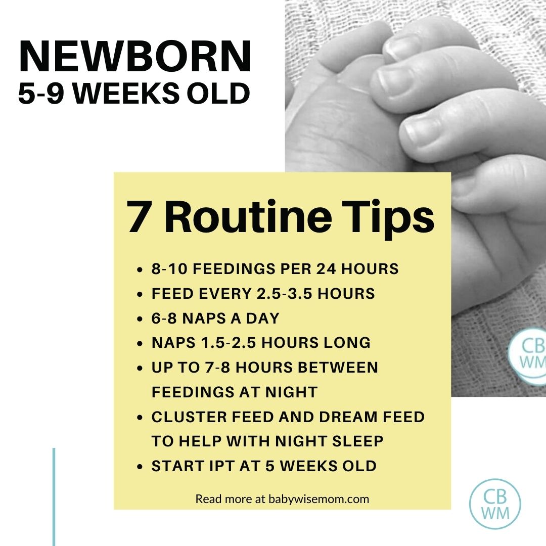 5-9 week old routine tips