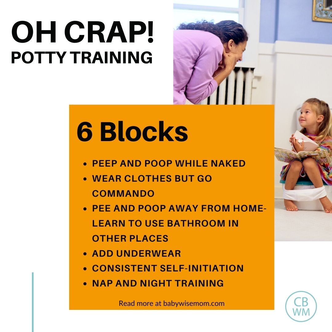 Everything I've learnt about potty training so far - Absolutely