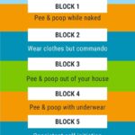 Oh Crap Potty Training cheat sheet infographic