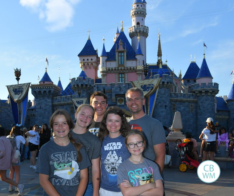 Family at Disneyland in front of the castle