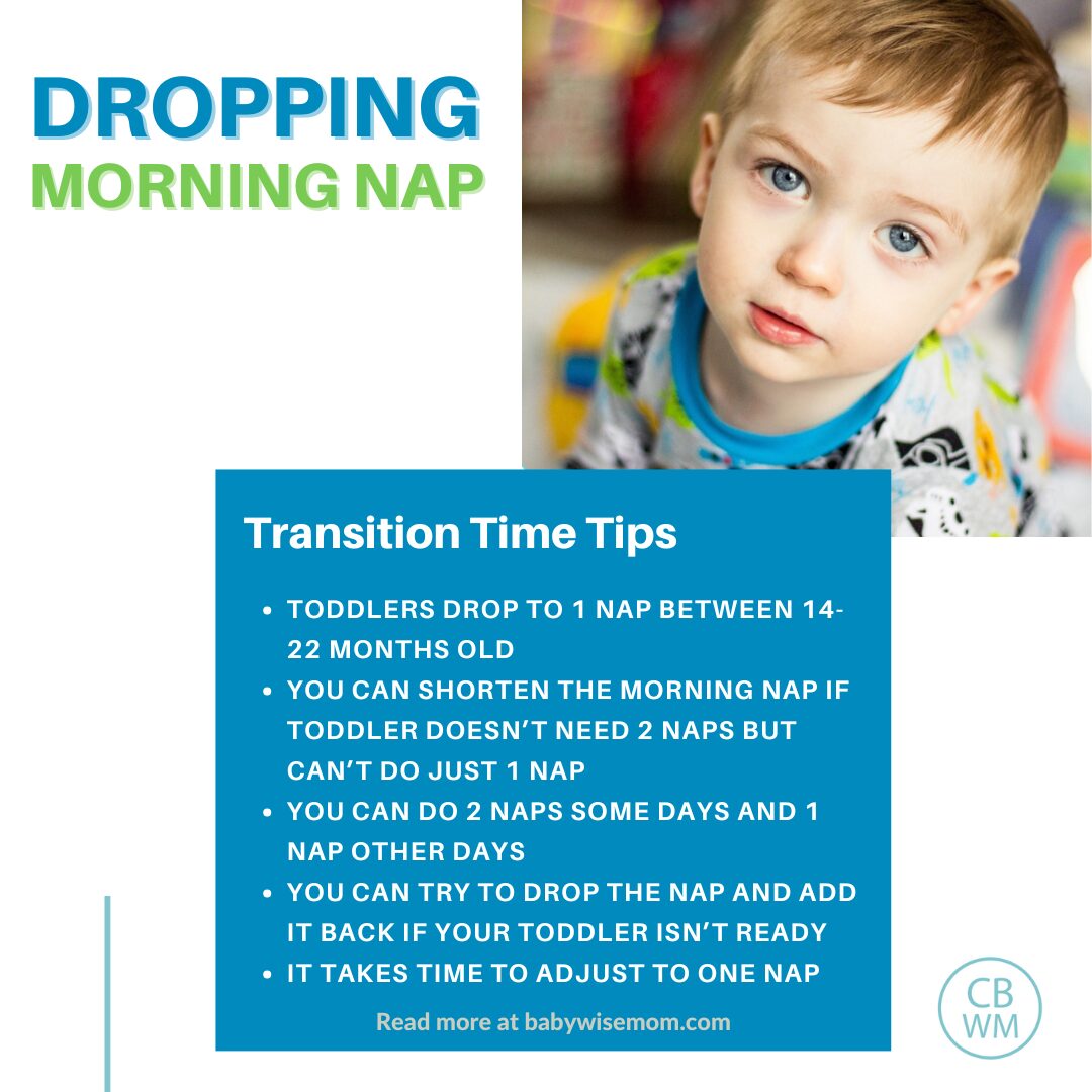 Dropping the Morning Nap Transition Time Graphic of helpful tips