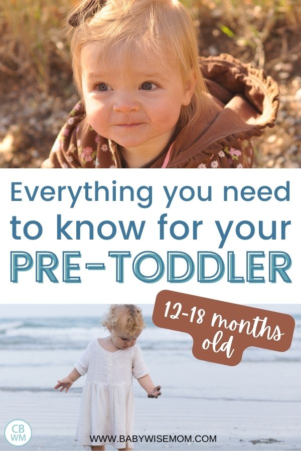 Everything you need to know for your pretoddler pinnable image