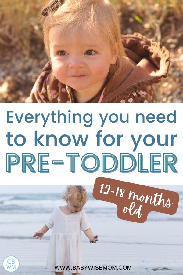 Everything you need to know for your pretoddler pinnable image
