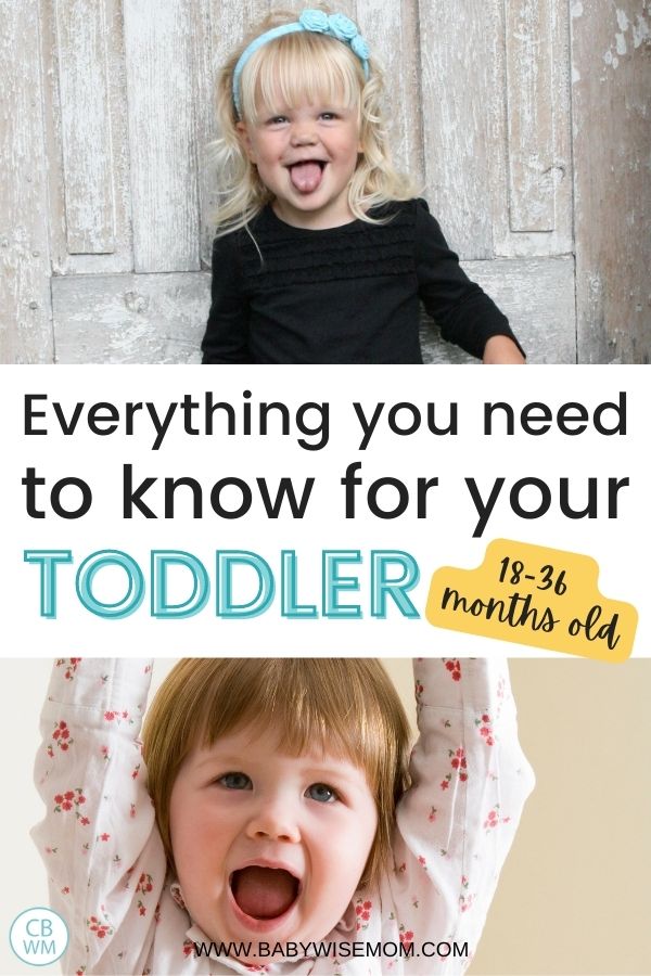 Everything you need for toddlers pinnable image
