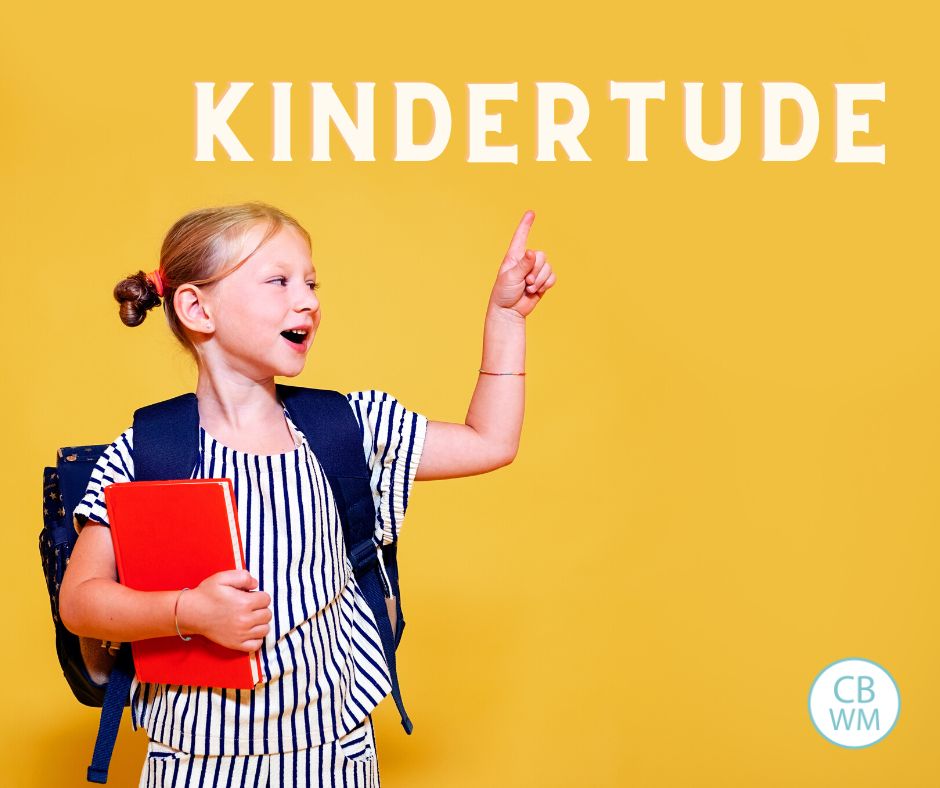 Kindertude image. Child in backpack with the word Kindertude. 