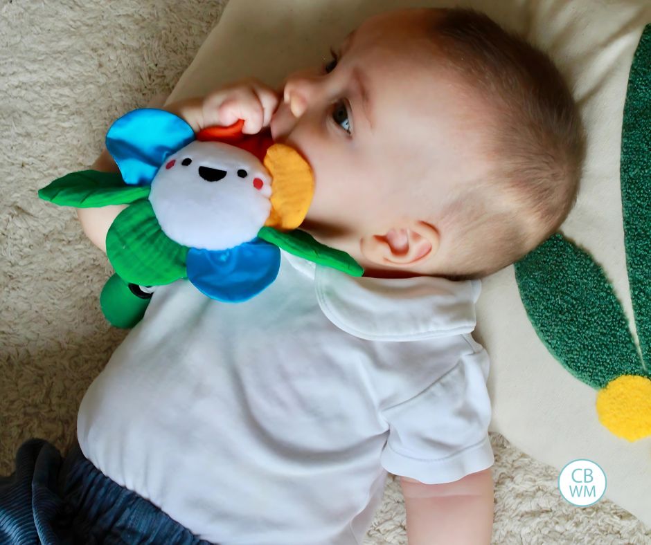 Baby playing with a toy