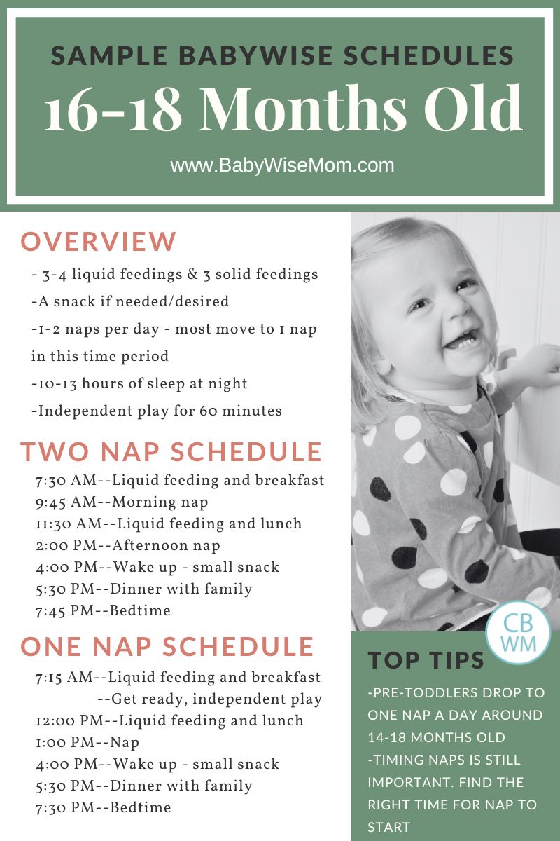 16 month old sample schedules image