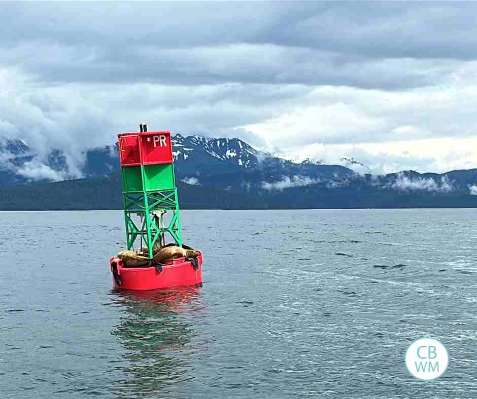 Sea Lions on a buoy in the ocean in Alaska